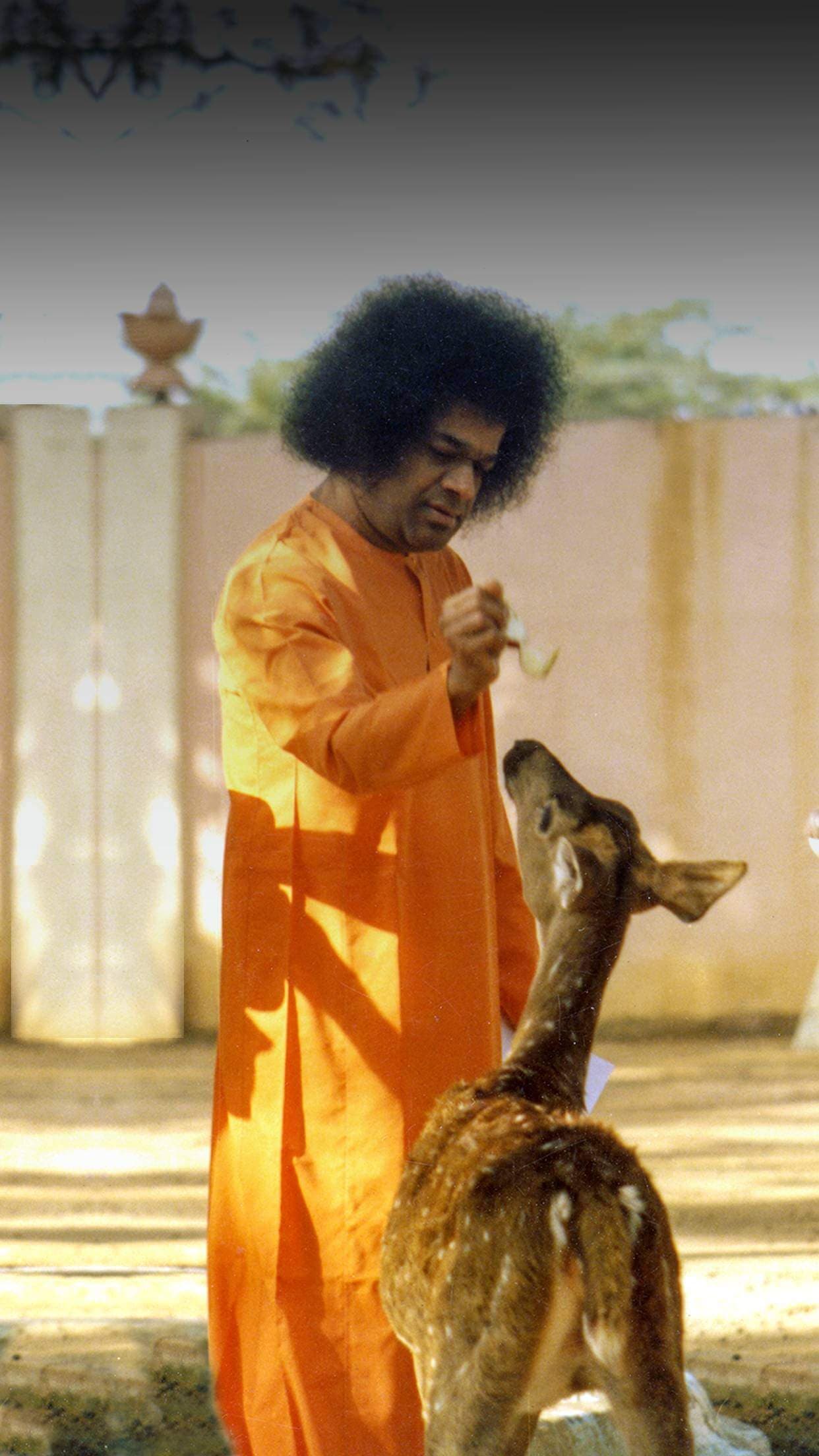 Sri Sathya Sai